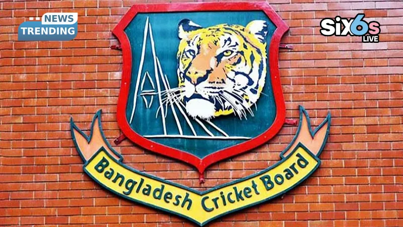How BCB Cricket Pathway Review transforms the talent pipeline?