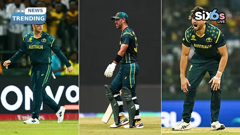 Why George Bailey's Australia Dropped Glenn Maxwell and Stoinis for Bangladesh T20 Series